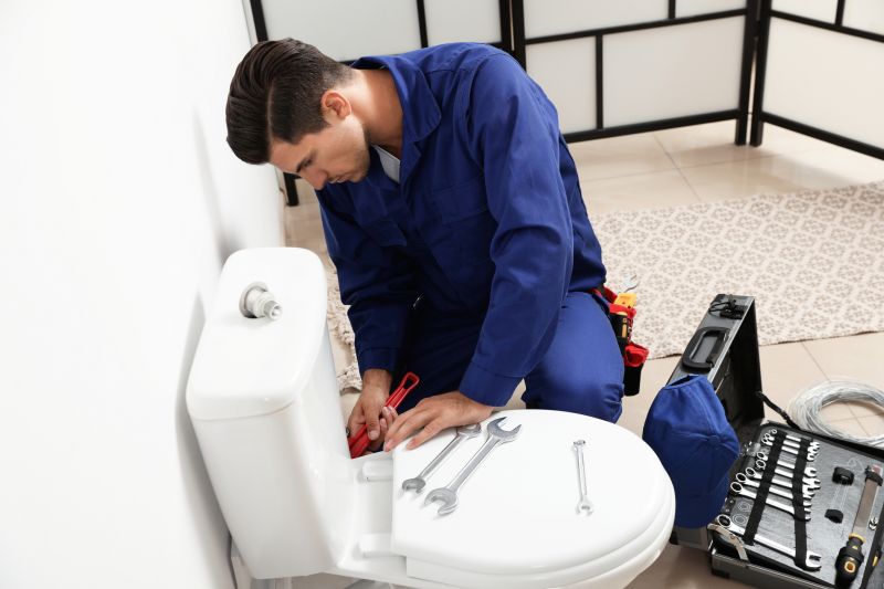 Toilet Repair detail